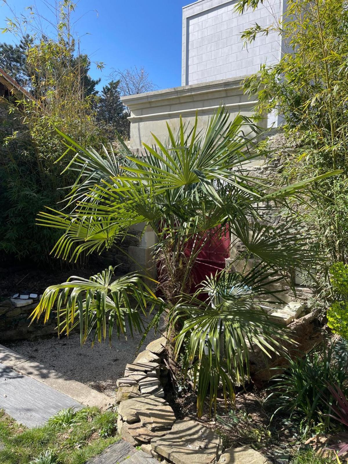 Logement Entier - La Laiterie De La Plume Nantes Buitenkant foto