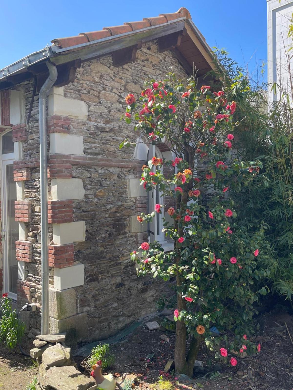 Logement Entier - La Laiterie De La Plume Nantes Buitenkant foto